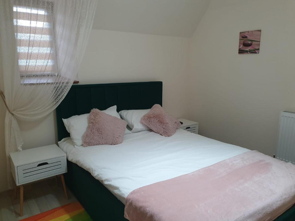 Villa Coca Moldvahosszúmező Kültér fotó