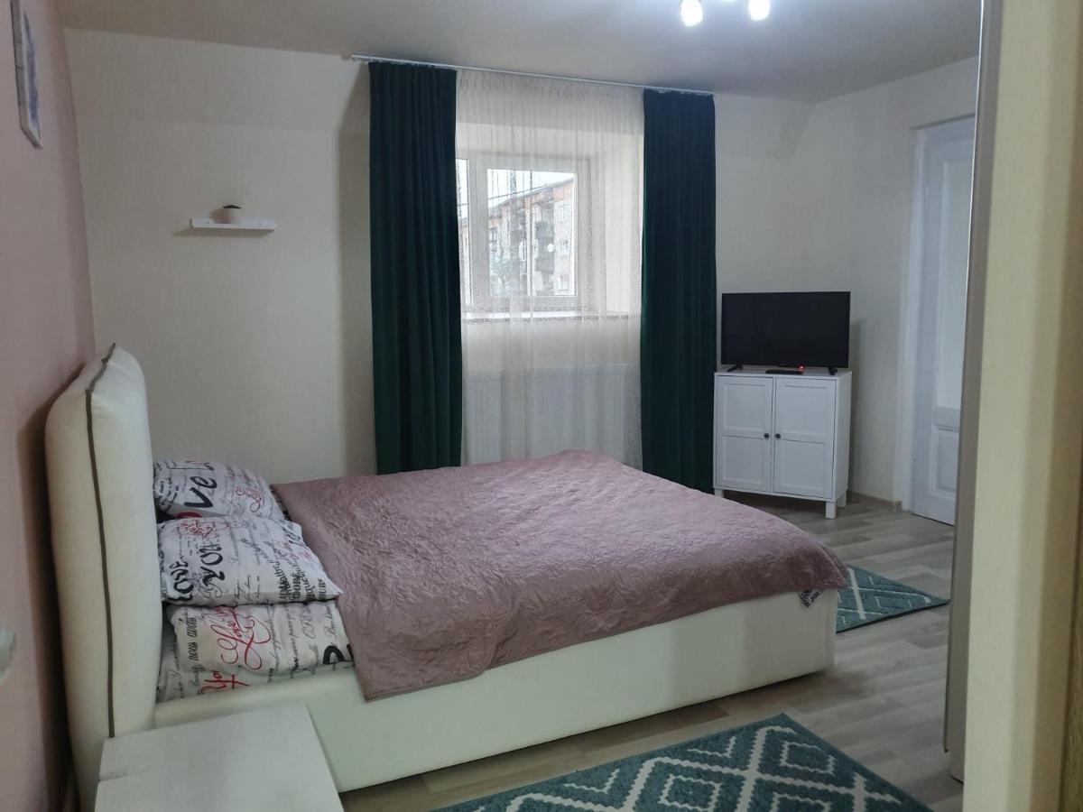 Villa Coca Moldvahosszúmező Kültér fotó