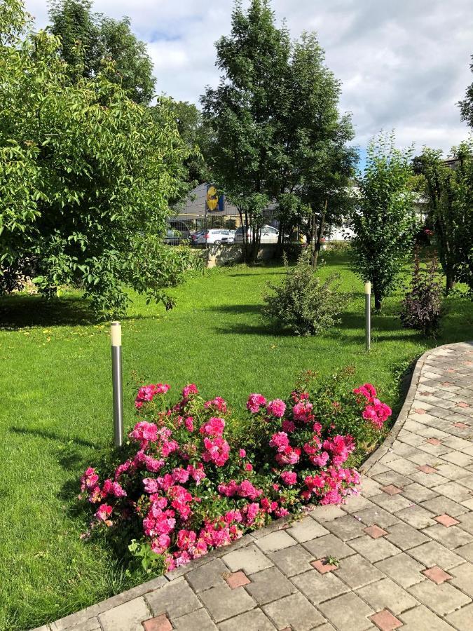 Villa Coca Moldvahosszúmező Kültér fotó