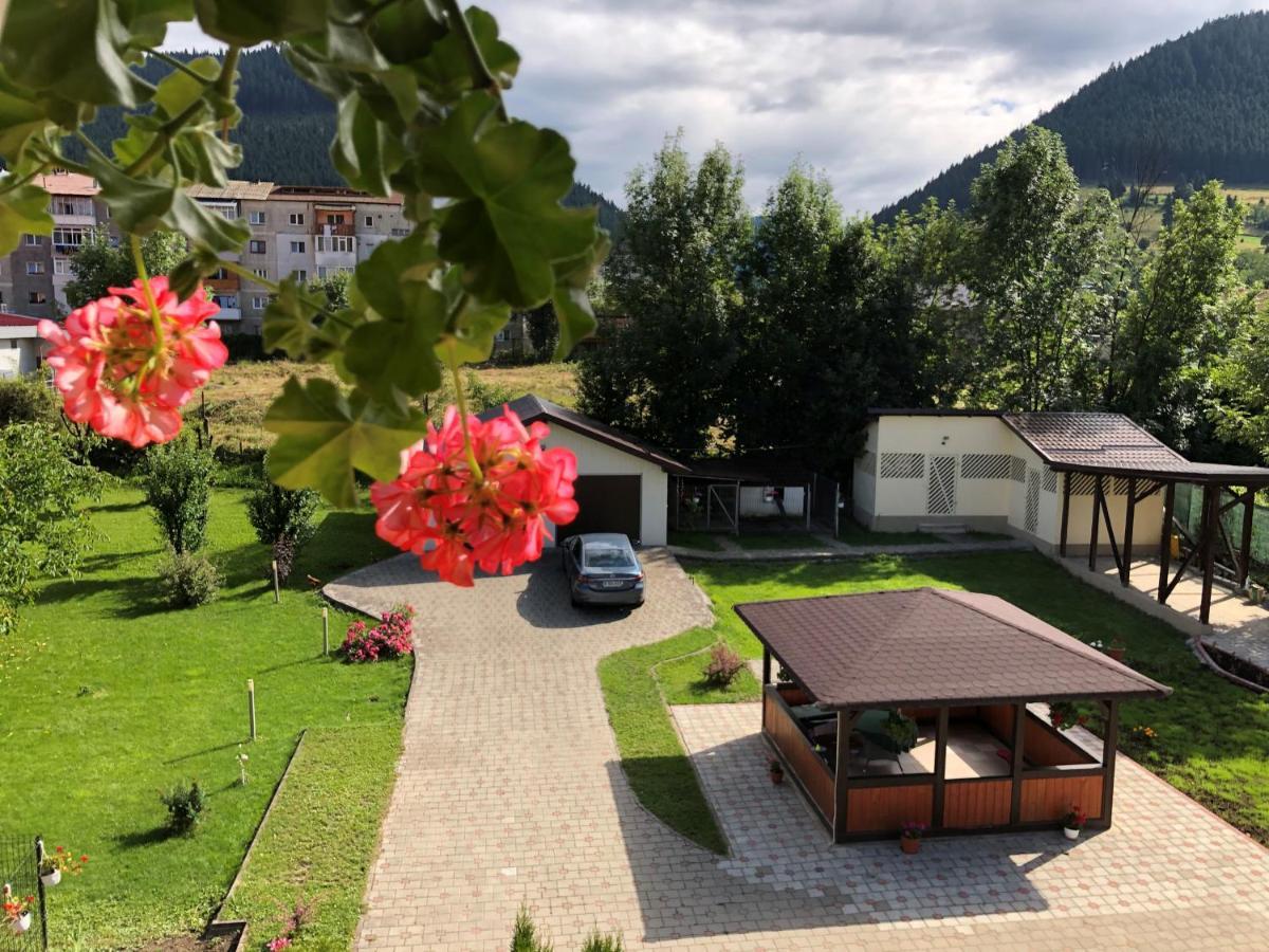 Villa Coca Moldvahosszúmező Kültér fotó