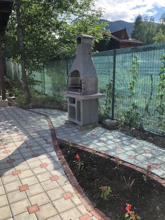 Villa Coca Moldvahosszúmező Kültér fotó